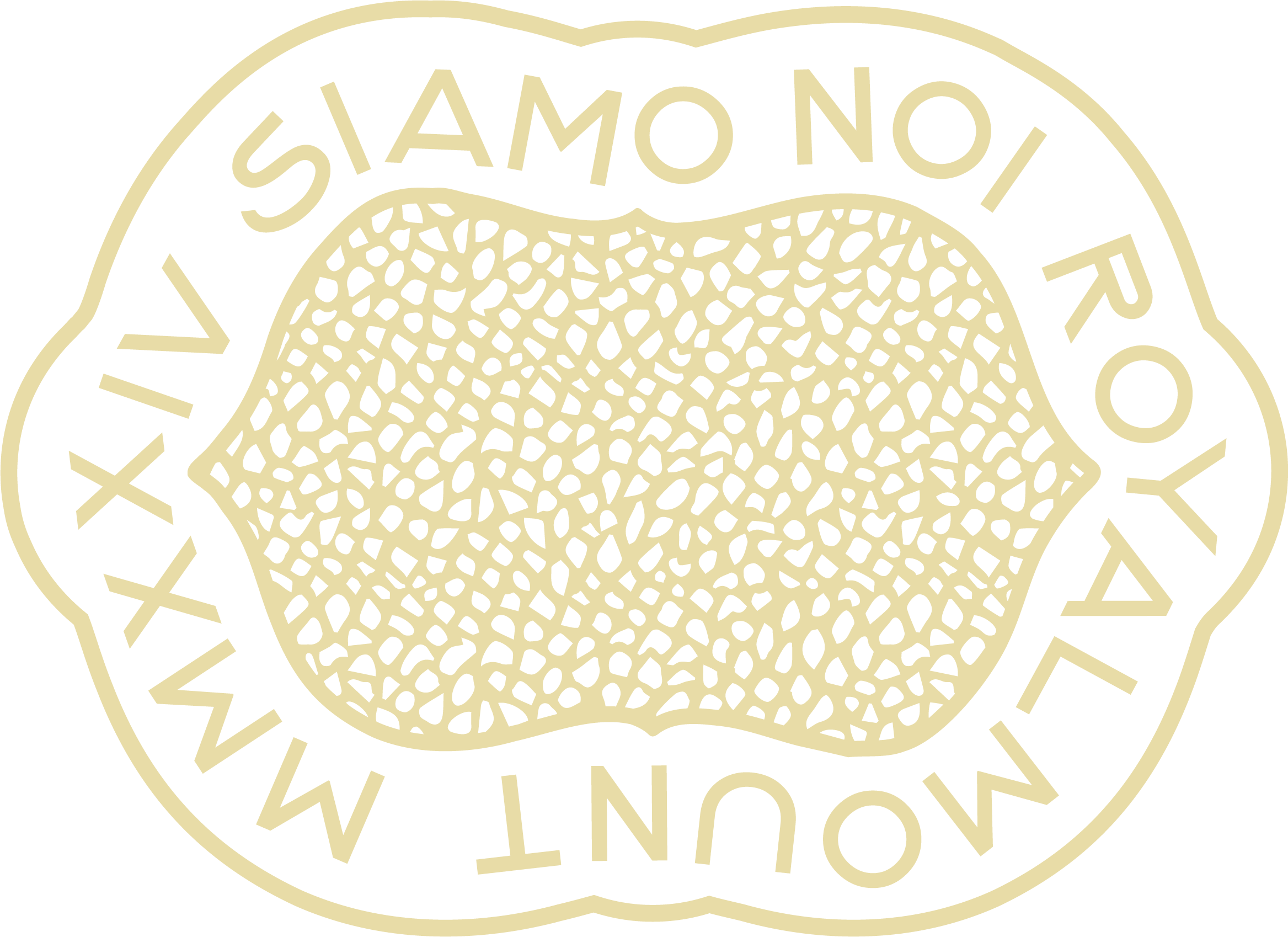 Siamo Noi Logo
